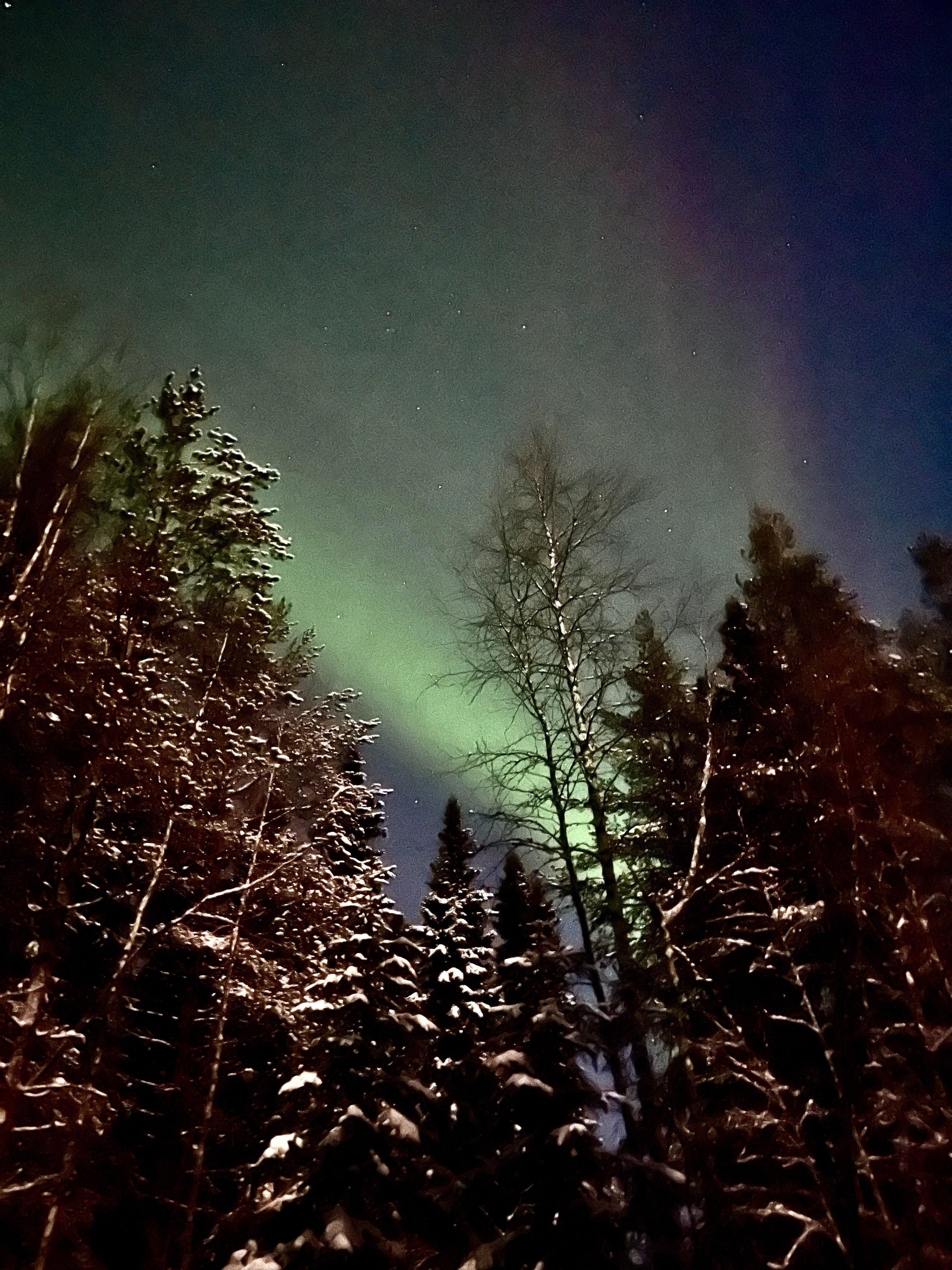 Aurora borealis- Dancing Lights of the Arctic Sky