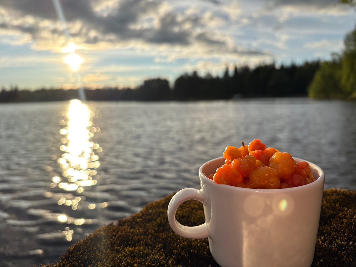 Lapland’s Berries